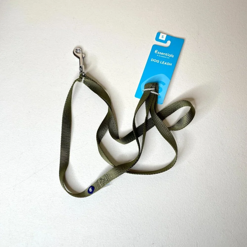 Blueberry Pet Essentials Small Dog Leash 5' x 5/8
